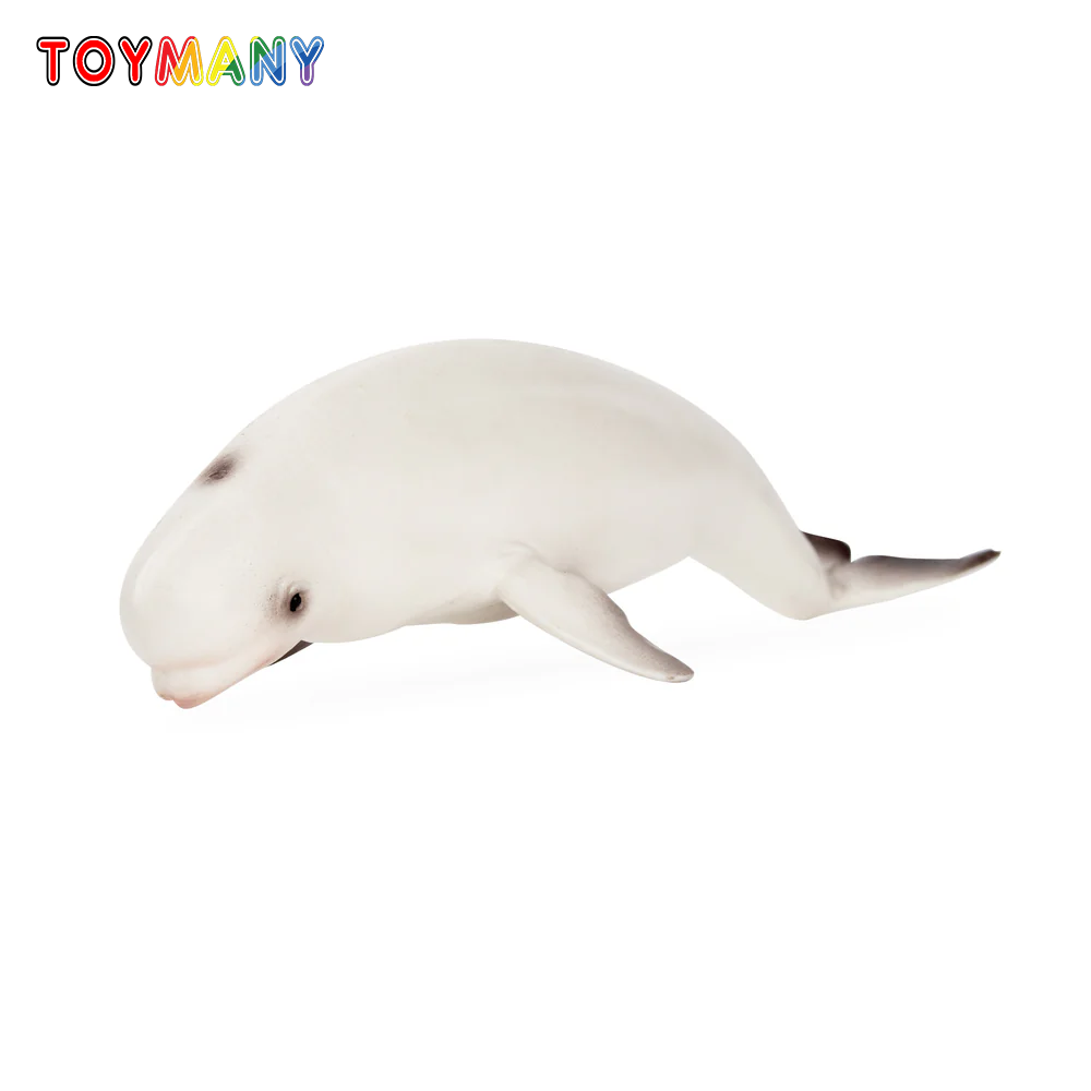 Kids Toys Under $5 - Toymany محاكاة بيلوغا الحوت المحيط نماذج