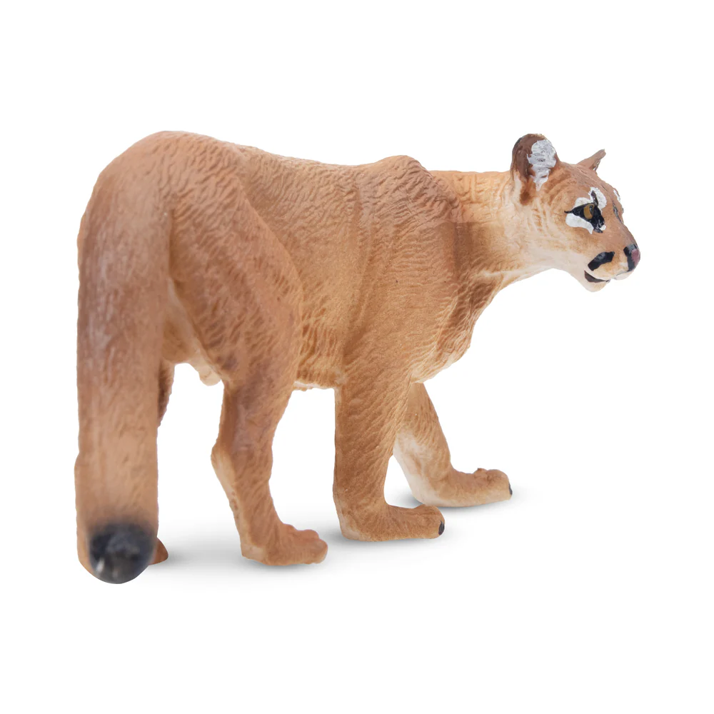 Toymany محاكاة كوغار الحياة ال - مراجعة Kids Toys Under $5 وسعره