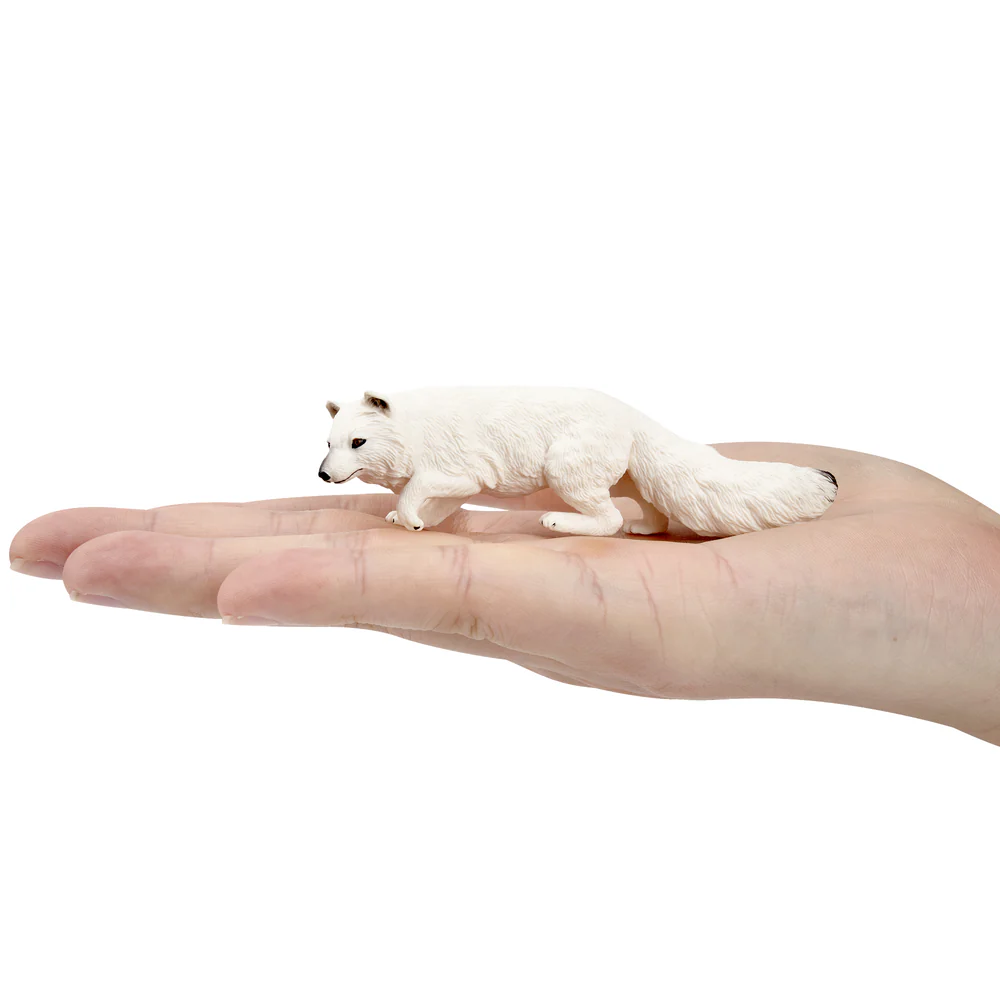 Toymany محاكاة القطب الشمالي ا - مراجعة Kids Toys Under $5 وسعره