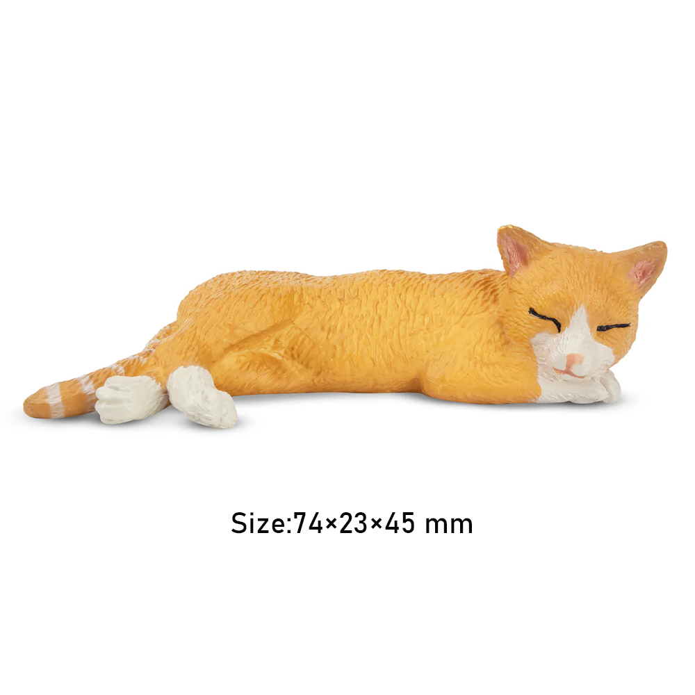 Toymany محاكاة الكذب البرتقال  - مراجعة Kids Toys Under $5 وسعره