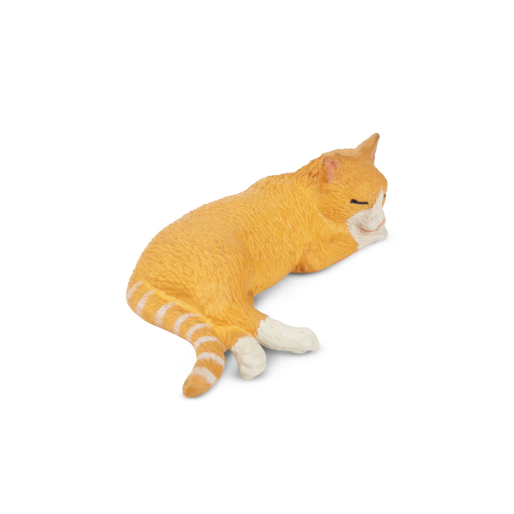 Toymany محاكاة الكذب البرتقال  - مراجعة Kids Toys Under $5 وسعره